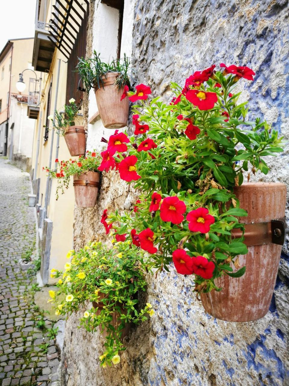 MoliternoL'Antico Ritrovo住宿加早餐旅馆 外观 照片